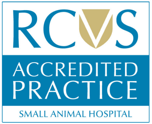 rcvs small nimal hospital accreditation